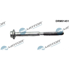 Dr.Motor Automotive Csavar, befecskendező fúvóka tartó Dr.Motor Automotive DRM01451 autóalkatrész