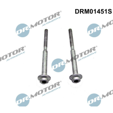 Dr.Motor Automotive Csavar, befecskendező fúvóka tartó Dr.Motor Automotive DRM01451S autóalkatrész