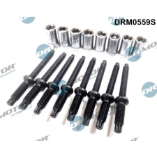 Dr.Motor Automotive Csavar, befecskendező fúvóka tartó Dr.Motor Automotive DRM0559S autóalkatrész
