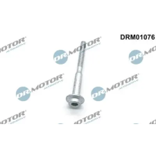 Dr.Motor Automotive Csavar, befecskendező fúvóka tartó DRM01076 autóalkatrész