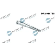 Dr.Motor Automotive Csavar, befecskendező fúvóka tartó DRM01078S autóalkatrész