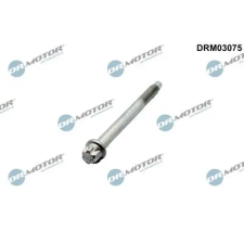Dr.Motor Automotive Csavar, befecskendező fúvóka tartó DRM03075 autóalkatrész
