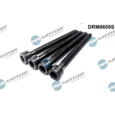 Dr.Motor Automotive Csavar, befecskendező fúvóka tartó DRM0609S autóalkatrész