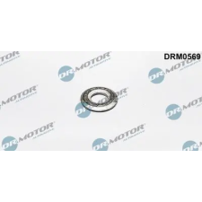 Dr.Motor Automotive Hővédő lemez, befecskendező rendszer DRM0569 autóalkatrész