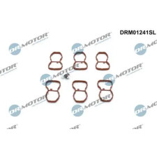 Dr.Motor Automotive javítókészlet, szívócső modul DRM01241SL autóalkatrész