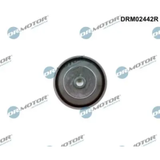 Dr.Motor Automotive Szelep, légvezérlés (szívó levegő) DRM02442R autóalkatrész