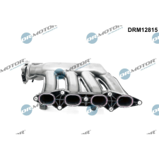 Dr.Motor Automotive szívócső modul Dr.Motor Automotive DRM12815 autóalkatrész