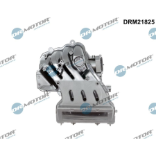 Dr.Motor Automotive szívócső modul Dr.Motor Automotive DRM21825 autóalkatrész