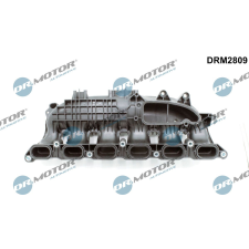 Dr.Motor Automotive szívócső modul Dr.Motor Automotive DRM2809 autóalkatrész