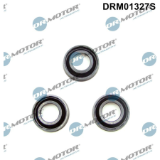 Dr.Motor Automotive tömítés, porlasztócsúcs-tartó Dr.Motor Automotive DRM01327S autóalkatrész
