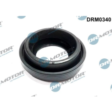 Dr.Motor Automotive tömítés, porlasztócsúcs-tartó Dr.Motor Automotive DRM0340 autóalkatrész