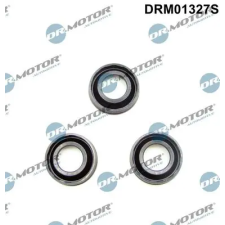 Dr.Motor Automotive tömítés, porlasztócsúcs-tartó DRM01327S autóalkatrész
