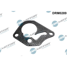 Dr.Motor Automotive tömítés, vákuumszivattyú Dr.Motor Automotive DRM0289 autóalkatrész