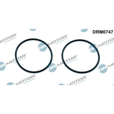 Dr.Motor Automotive tömítés, vákuumszivattyú Dr.Motor Automotive DRM0747 autóalkatrész