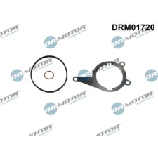 Dr.Motor Automotive tömítés, vákuumszivattyú DRM01720 autóalkatrész
