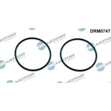 Dr.Motor Automotive tömítés, vákuumszivattyú DRM0747 autóalkatrész