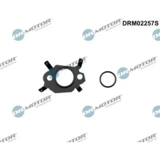 Dr.Motor Automotive Tömítéskészlet, kipufogógáz-visszavezetés DRM02257S autóalkatrész