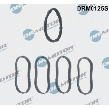 Dr.Motor Automotive tömítéskészlet, szívókönyök Dr.Motor Automotive DRM0125S autóalkatrész