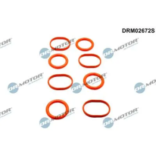Dr.Motor Automotive tömítéskészlet, szívókönyök DRM02672S autóalkatrész