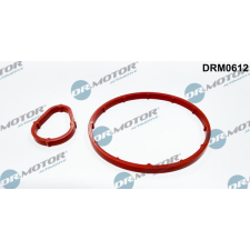 Dr.Motor Automotive Tömítéskészlet, vákuumszivattyú Dr.Motor Automotive DRM0612 autóalkatrész