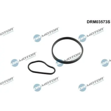 Dr.Motor Automotive Tömítéskészlet, vákuumszivattyú DRM03573S autóalkatrész