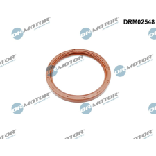 Dr.Motor Automotive tömítőgyűrű, főtengely Dr.Motor Automotive DRM02548 autóalkatrész