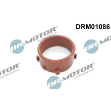 Dr.Motor Automotive Tömítőgyűrű, töltőlevegőcső DRM01086 autóalkatrész