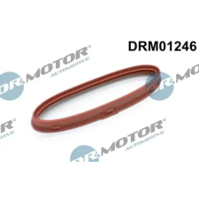 Dr.Motor Automotive Tömítőgyűrű, töltőlevegőcső DRM01246 autóalkatrész