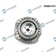 Dr.Motor Automotive vezérműtengely-állító DRM01575 autóalkatrész