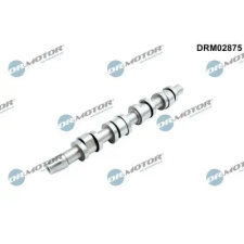 Dr.Motor Automotive vezérműtengely DRM02875 autóalkatrész