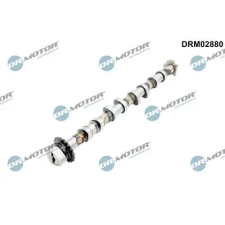 Dr.Motor Automotive vezérműtengely DRM02880 autóalkatrész
