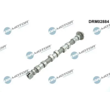 Dr.Motor Automotive vezérműtengely DRM02884 autóalkatrész