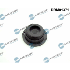 Dr.Motor Automotive Zárócsavar, olajteknő Dr.Motor Automotive DRM01371 autóalkatrész