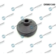 Dr.Motor Automotive Zárócsavar, olajteknő DRM01349 autóalkatrész