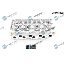 Dr.Motor hengerfej DR. MOTOR DRM13402 autóalkatrész