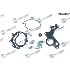 Dr.Motor Javítókészlet, vákuumszivattyú (fékrendszer) DR. MOTOR DRM01347 autóalkatrész