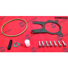 Dr.Motor Javítókészlet, vákuumszivattyú (fékrendszer) DR. MOTOR DRM0264 autóalkatrész