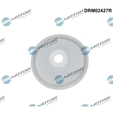 Dr.Motor Szelep, légvezérlés (szívó levegő) DR. MOTOR DRM02427R autóalkatrész