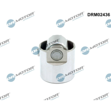 Dr.Motor Szelepemelő, nagynyomású szivattyú DR. MOTOR DRM02436 autóalkatrész