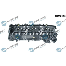 Dr.Motor szelepfedél DR. MOTOR DRM2918 autóalkatrész