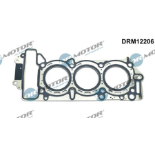Dr.Motor tömítés, hengerfej DR. MOTOR DRM12206 autóalkatrész