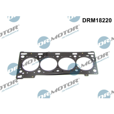 Dr.Motor tömítés, hengerfej DR. MOTOR DRM18220 autóalkatrész