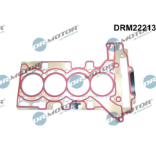 Dr.Motor tömítés, hengerfej DR. MOTOR DRM22213 autóalkatrész
