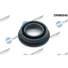 Dr.Motor tömítés, porlasztócsúcs-tartó DR. MOTOR DRM0848 autóalkatrész