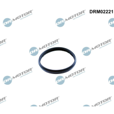 Dr.Motor tömítés, vezérműlánc-feszítő DR. MOTOR DRM02221 autóalkatrész