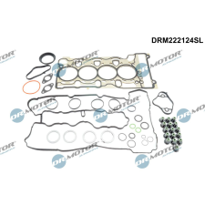 Dr.Motor tömítéskészlet, hengerfej DR. MOTOR DRM222124SL autóalkatrész