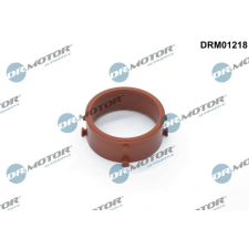 Dr.Motor Tömítőgyűrű, töltőlevegőcső DR. MOTOR DRM01218 autóalkatrész