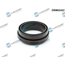 Dr.Motor Tömítőgyűrű, töltőlevegőcső DR. MOTOR DRM02422 autóalkatrész