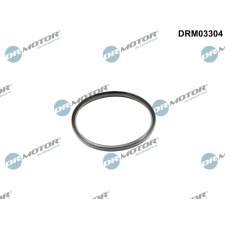 Dr.Motor Tömítőgyűrű, töltőlevegőcső DR. MOTOR DRM03304 autóalkatrész