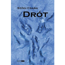 Drót regény